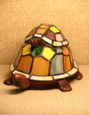 ������������ ���������� TURTLE 06